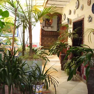 https://pension-san-andres-i.es-andalucia.com